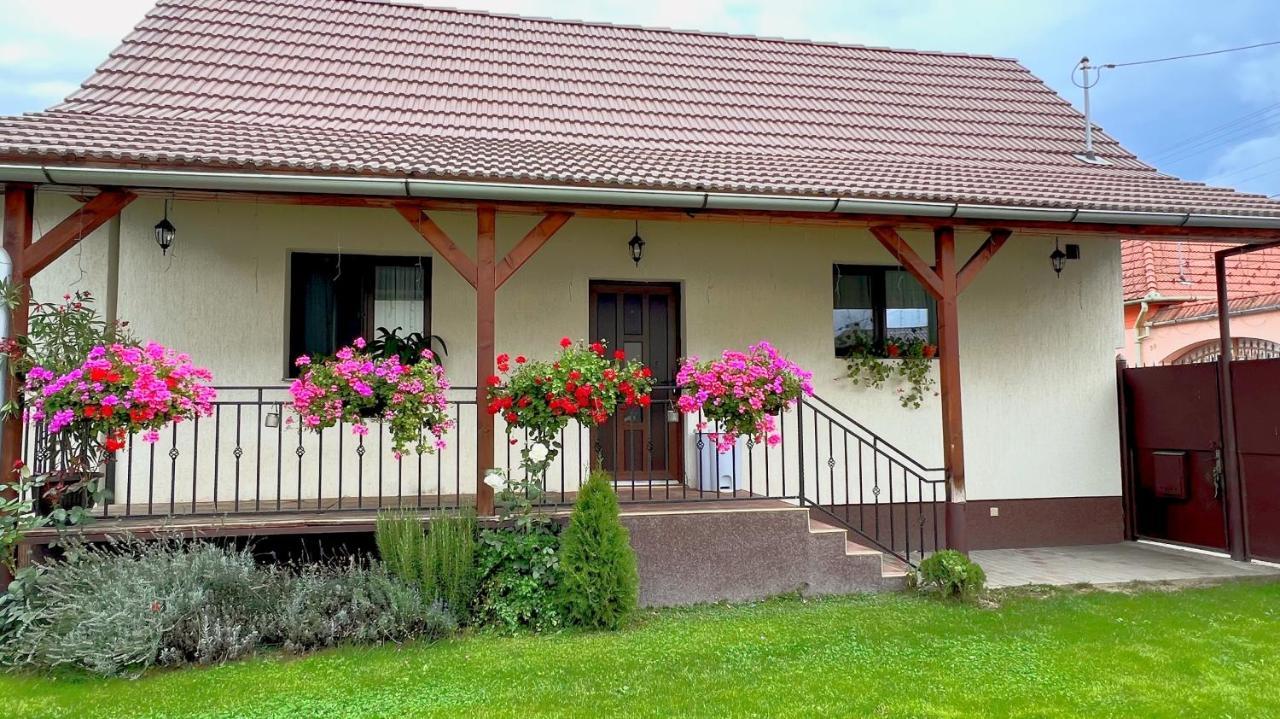 Siebenbuerger Haus Villa Sibiu Ngoại thất bức ảnh