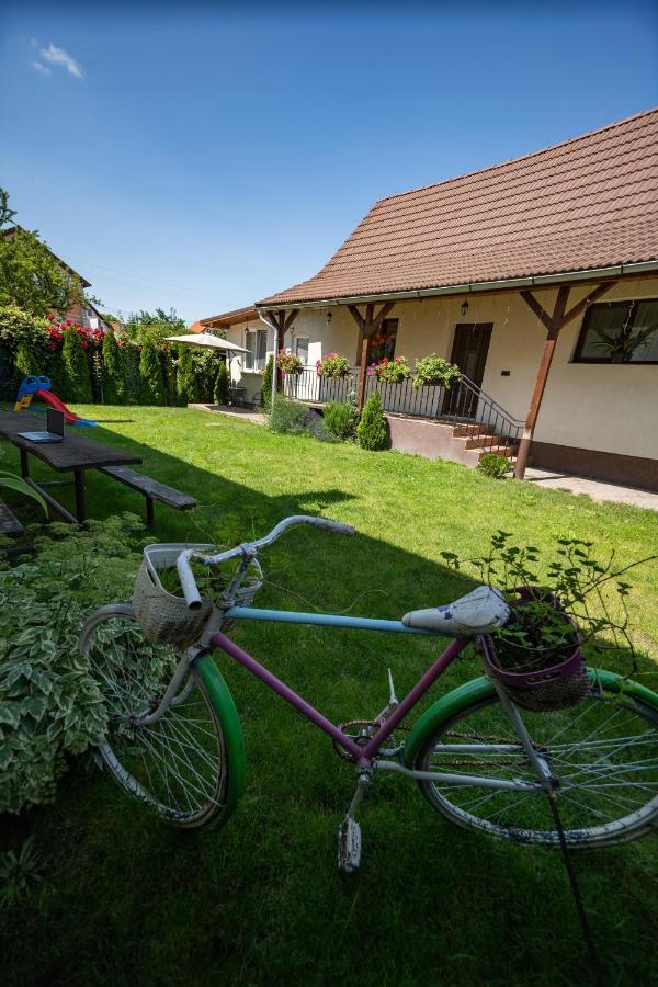 Siebenbuerger Haus Villa Sibiu Ngoại thất bức ảnh